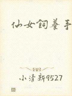 仙女饲养手册