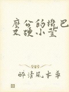 么公的机巴又粗又硬小莹