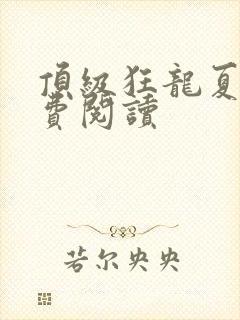 顶级狂龙夏天免费阅读