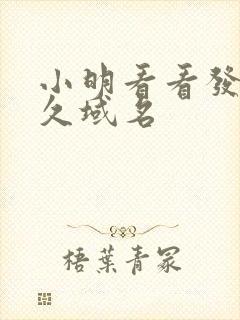 小明看看发布永久域名