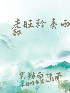 老旺干秦雨第二部