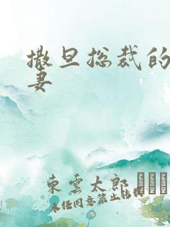 撒旦总裁的下堂妻