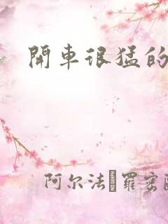 开车很猛的古文