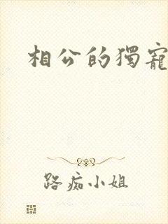 相公的独宠妻子