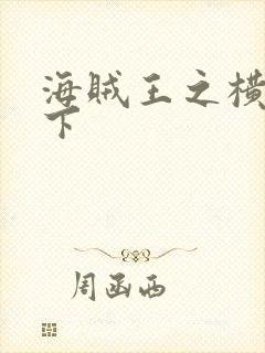 海贼王之横行天下