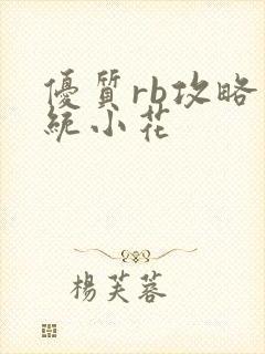 优质rb攻略系统小花