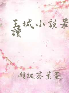 王城小说最近阅读