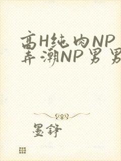 高H纯肉NP 弄潮NP男男