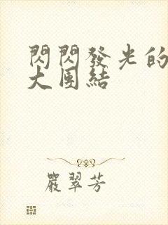 闪闪发光的小说大团结