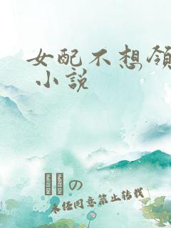 女配不想领便当 小说