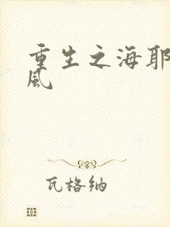 重生之海耶斯旋风