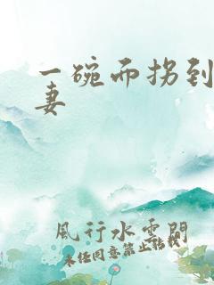 一碗面拐到美艳妻