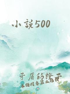 小说500