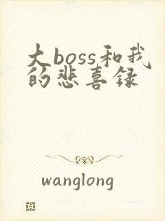 大boss和我的悲喜录