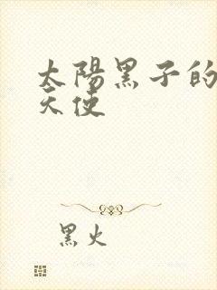 太阳黑子的折翼天使