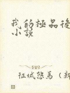 我的极品后宫 小说