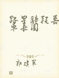 路星辞段嘉衍肉车长图
