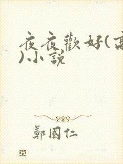 夜夜欢好(高h)小说