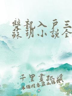 双龙入户三人行苏玥小说全文阅读