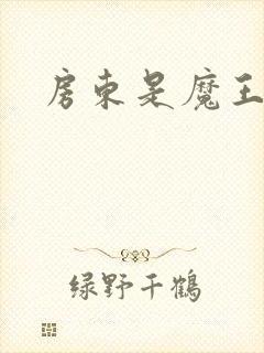 房东是魔王大人