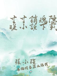 寸寸销魂陈聪王暖小说下载