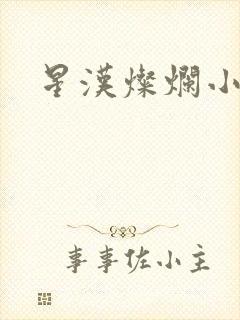 星汉灿烂小说