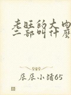 老旺的大肉蟒第二部叫什么小说