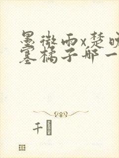 墨微雨x楚晚宁塞橘子哪一章