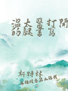 温太医打开眉庄的腿书写