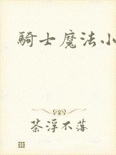 骑士魔法小说