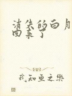 消失的白月光又回来了