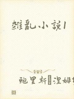 杂乱小说1