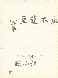 小豆蔻不止是颗菜