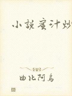 小说蜜汁炒鱿鱼