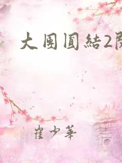 大团圆结2阅读