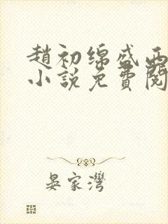 赵初绵盛西舫的小说免费阅读