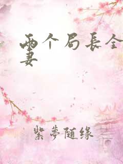 两个局长全肉共妻