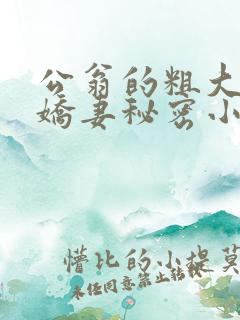 公翁的粗大放进娇妻秘密小说