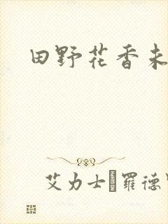 田野花香未删节