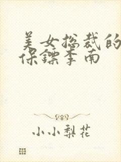 美女总裁的护花保镖李南