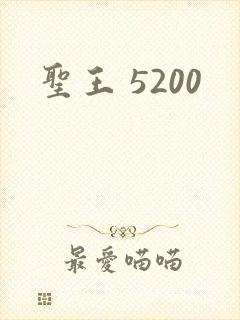 圣王 5200