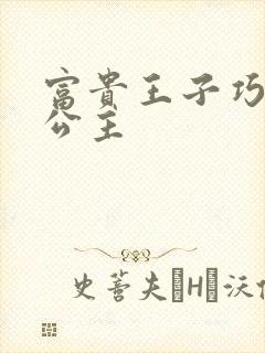 富贵王子巧遇穷公主