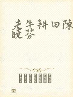 老牛耕田陈雪杨晓芬