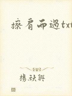 擦肩而过txt