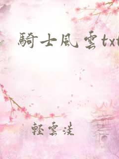 骑士风云txt
