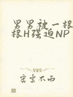 男男被一根又一根H强迫NP