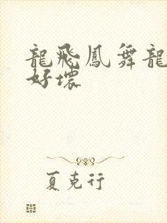 龙飞凤舞龙王你好坏