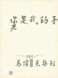 你是我的手冢国光