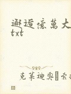 邂逅亿万大人物txt