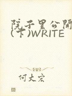 院子里公开惩戒(下)WRITE